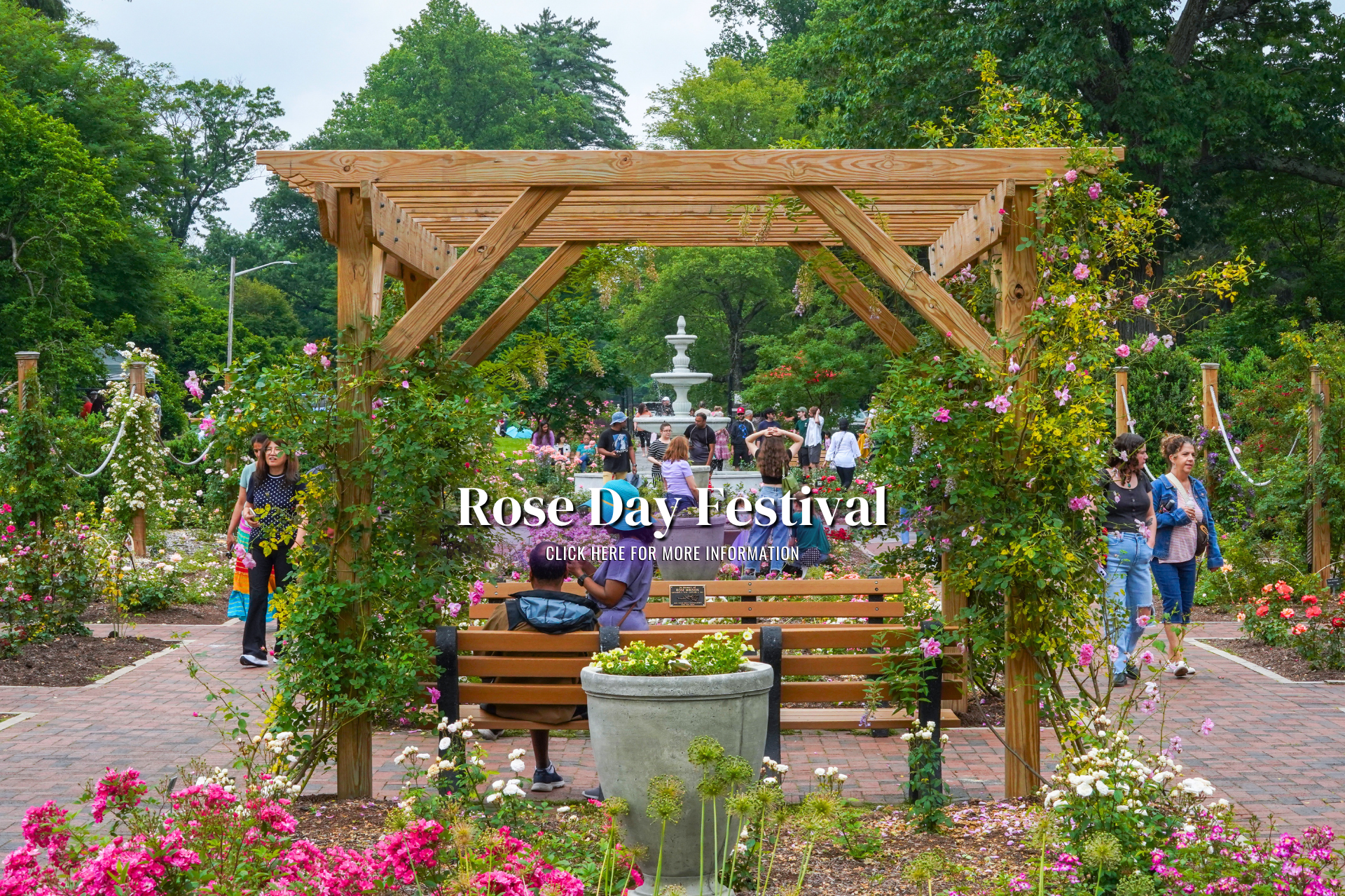 2026 Rose Day Festival