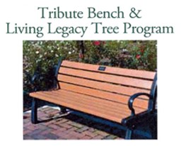 Tribute Bench &amp; Living Legacy Tree Program
