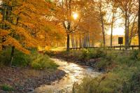Come on our for a stroll, ride, or hike at Natirar and enjoy the fall colors.