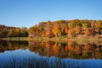 Come on out for the Hawk Watch in the fall colors at Washington Valley Park in Bridgewater, NJ