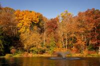 Few places are more beautiful for fall foliage than Leonard J. Buck Gardens in Far Hills NJ
