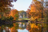 Come down to the Colonial Park Gardens Arboretum in Somerset, NJ