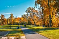 Duke Island Park in Bridgewater NJ is a great place for fall folliage.