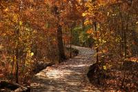 Peep some leaves at the Environmental Education Center in Basking Ridge, NJ