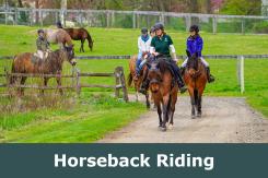 Activities Panel Horseback Riding