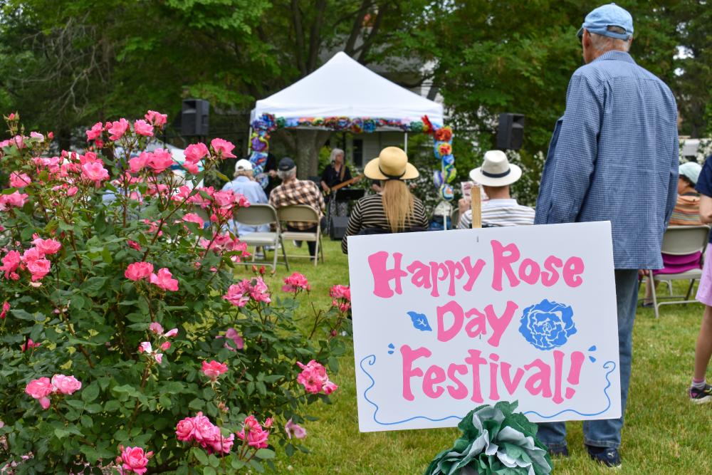 Rose Day Festival Roses