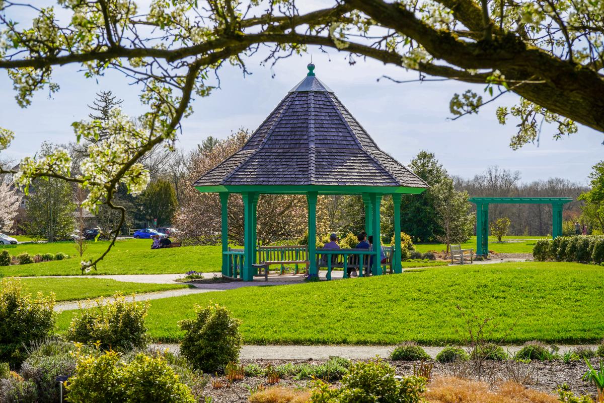Perennial Garden Gazebo Tree
