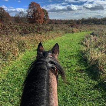 Public Trail Ride Pic 1