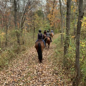 Public Trail Ride Pic 2