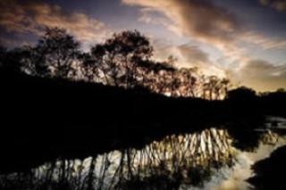 Open Space