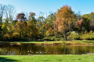 Sourland Pond