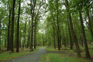 Washington Rock Park