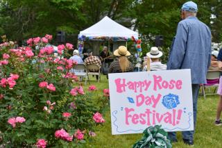 Rose Festival