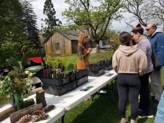 Arbor Day Giveaway
