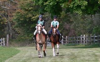Horseback Riding Lessons Return to The Stable at Lord Stirling Park