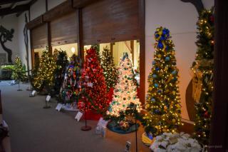 Festival of Trees 