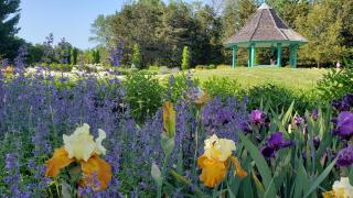 Horticulture 1st Place - Colonial Park - Nancy Ellison