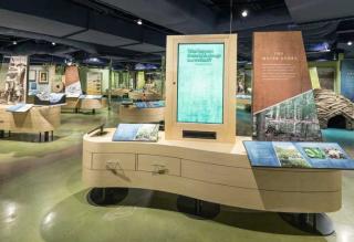 The Great Swamp Experience