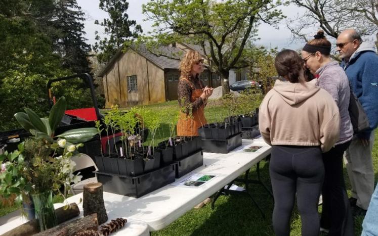 Arbor Day Giveaway